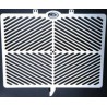 1069947 - SRG0021SS : R&G Racing Radiator Protection Honda CB1000R