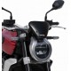 0301ALT20 : Sport-Windschutzscheibe Ermax 2021 CB1000R