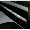 08F85-MFN-820 : Loghi CB1000R in 3D CB1000R