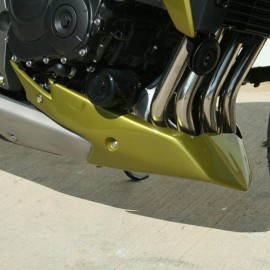 S2 Concept engine guard