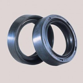 Bihr fork oil seals