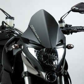 R0670 : Parabrezza DPM in Alluminio CB1000R