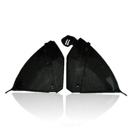 RCCARBH121 : Seitenteile Rossocromo Carbon CB1000R