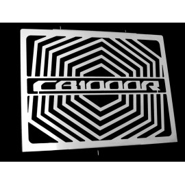 0310H029 : Protection radiateur Mad CB1000R