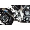 H080080CO : Silencioso Strada Termignoni CB1000R
